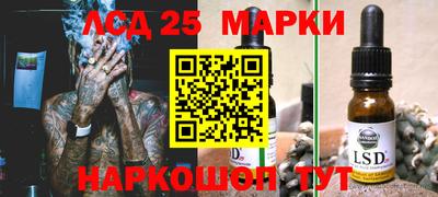 индика Брянск