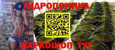 сатива Братск