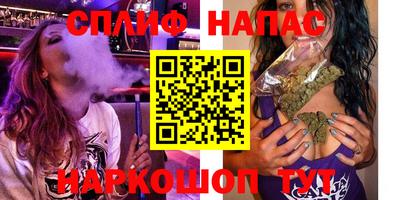 индика Брянск