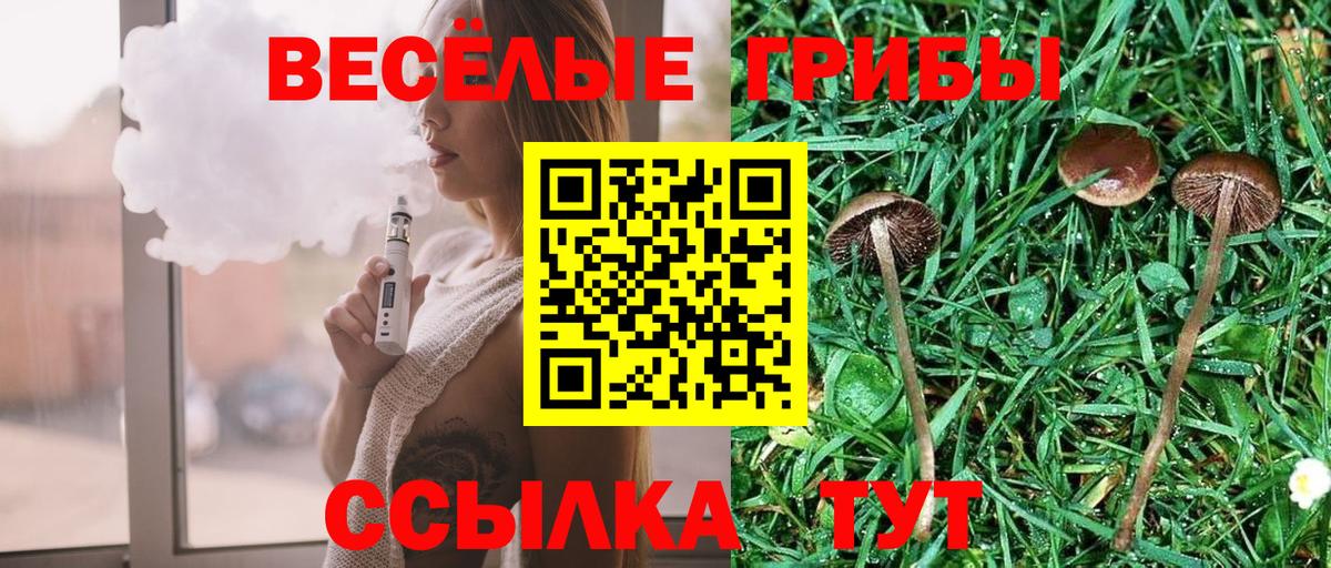 Галлюциногенные грибы прущие грибы  Вход с VPN  Асбест 